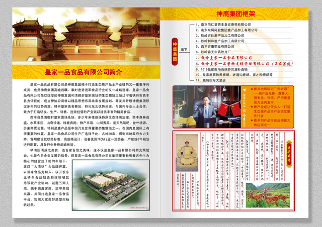 畫冊設(shè)計(jì)