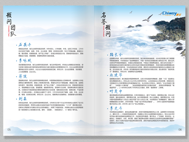 智元集團(tuán) 宣傳冊(cè)設(shè)計(jì)