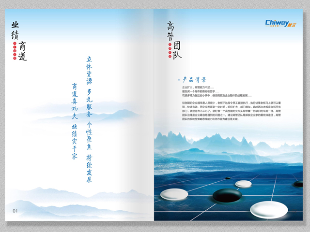 智元集團(tuán) 宣傳冊(cè)設(shè)計(jì)